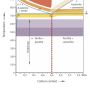 heat_treatment.png
